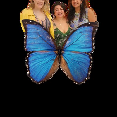 Collectively We Heal